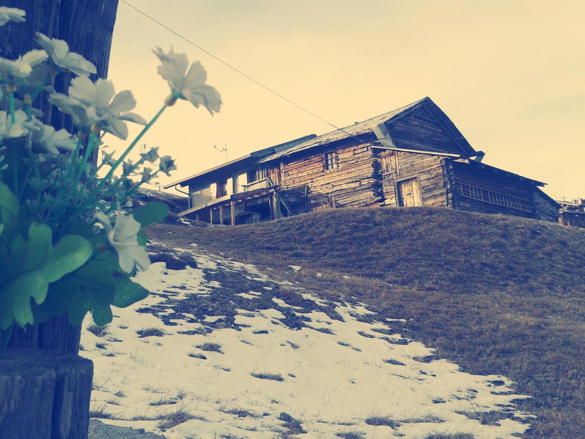 Hotel La Tea Livigno Habitación foto